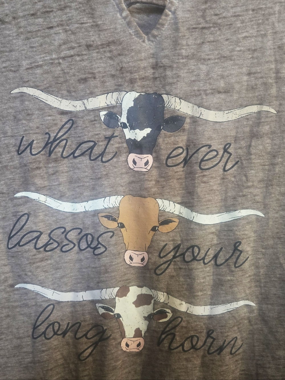 Cato "Whatever Lassos Your Longhorn" T-Shirt